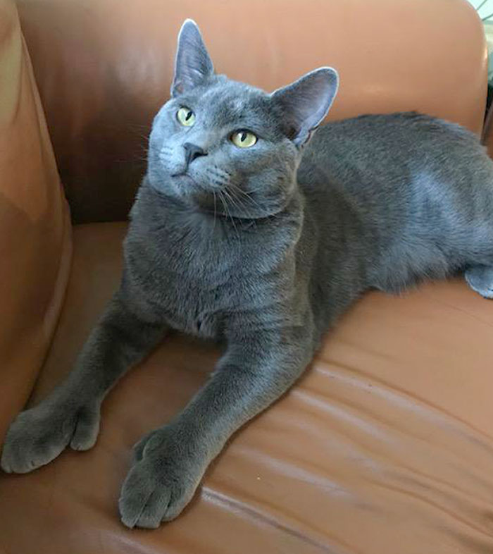 Someone Is Proud Of Their 14 Toes