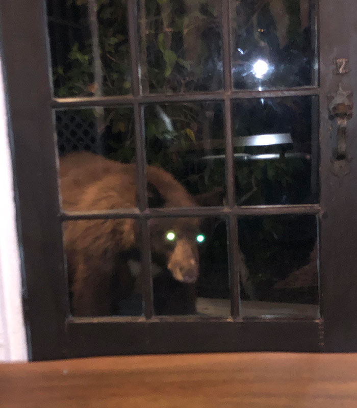 Was Playing Video Games When I Heard Sounds To My Left. Looked Over And Saw This