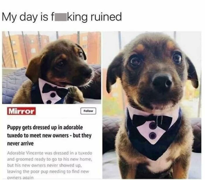 Thanks, I Hate These Monsters Of People