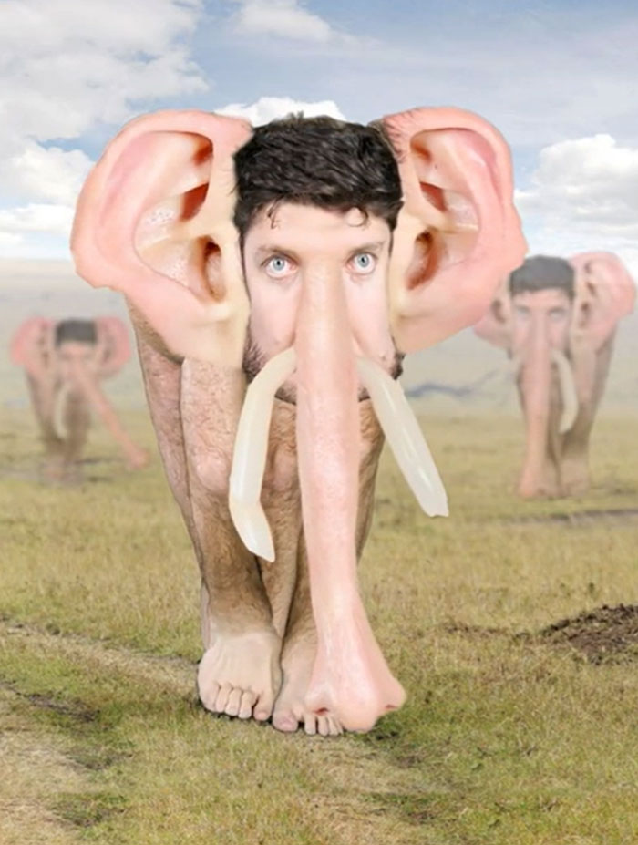 Thanks I Hate Human Elephant