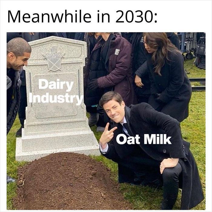 Vegan-Memes-Instagram