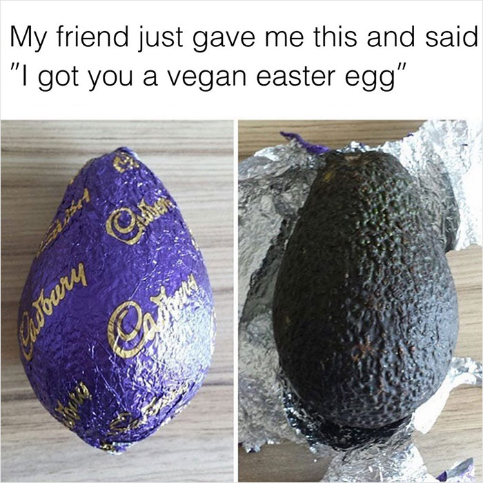 Vegan-Memes-Instagram
