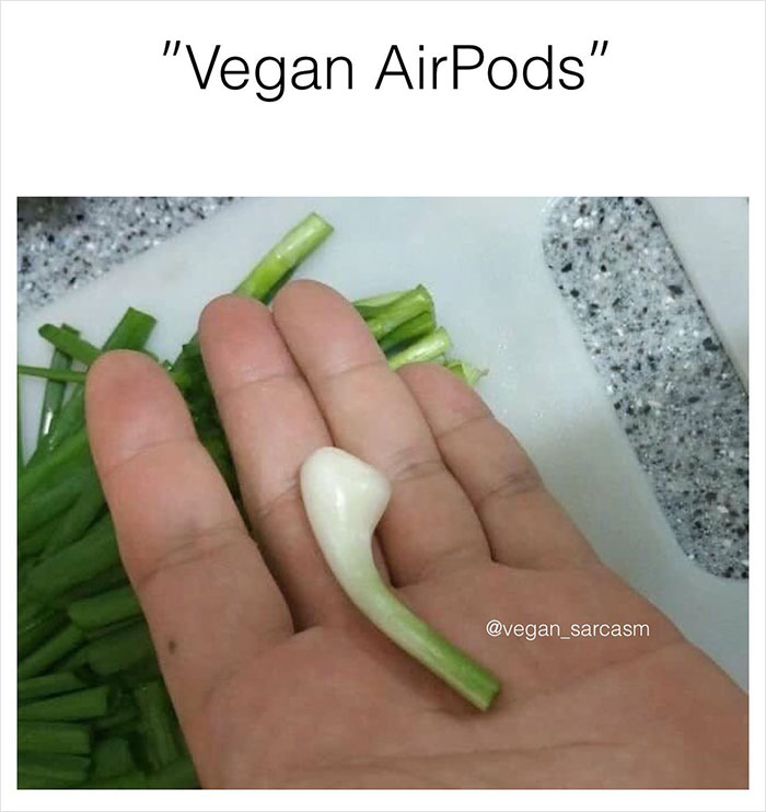 Vegan-Memes-Instagram
