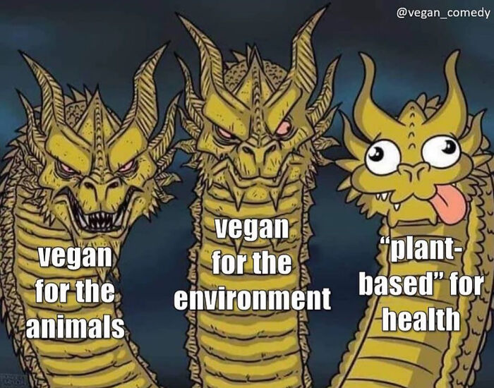 Vegan-Memes-Instagram