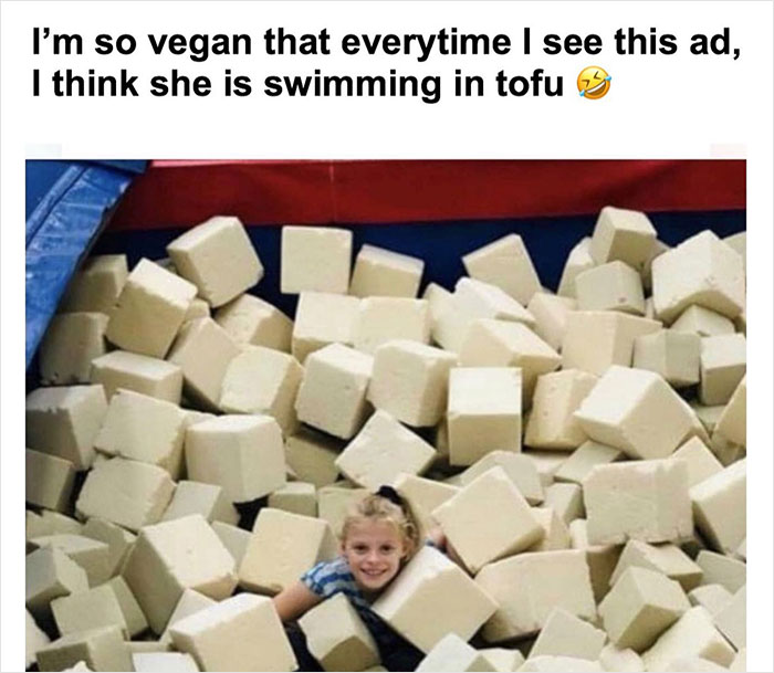Vegan-Memes-Instagram