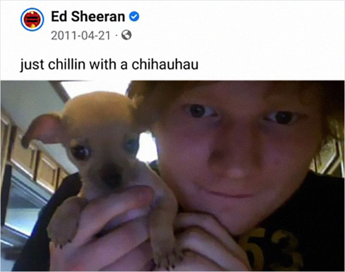 Ed Sheeran holding a chihuahua in a selfie, one of the weirdest things spotted on official social media accounts.