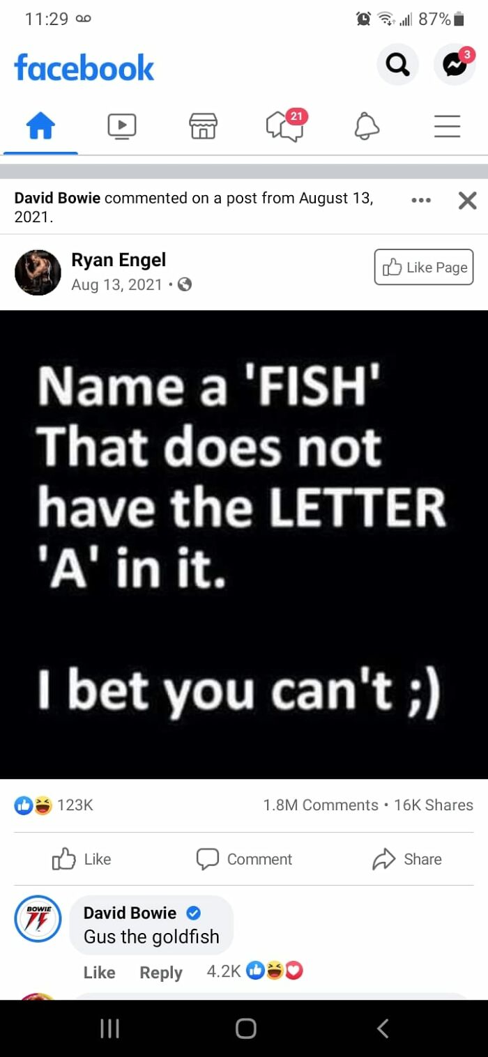Facebook post showing a funny social media comment challenge about fish names, highlighting weird things spotted on social accounts.
