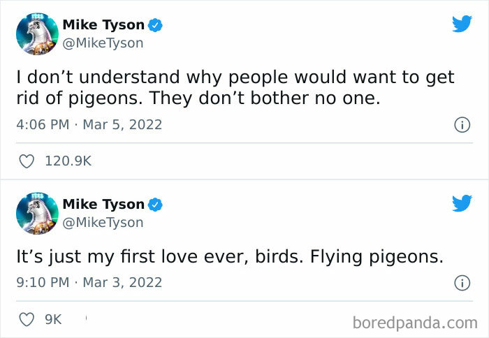Mike Tyson tweets about pigeons, expressing his love and confusion over why people want to get rid of them on social media.