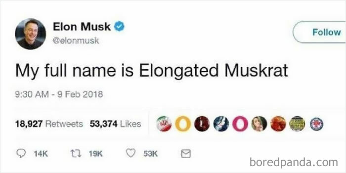 Elon Musk's official social media post humorously states his full name as Elongated Muskrat, showcasing weird company and celebrity posts.