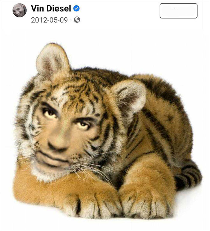 Weird-Funny-Stuff-Found-On-Official-Social-Media-Accounts