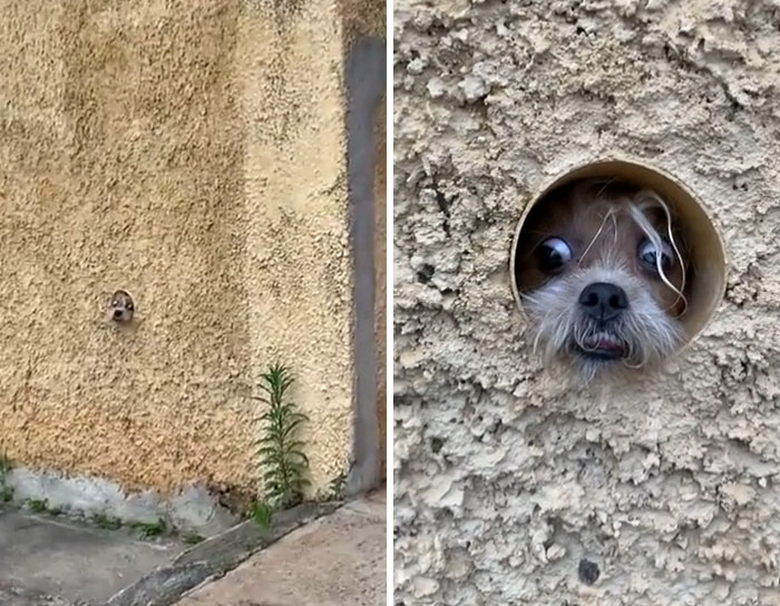 ¿Se cree que es un espía o algo así?