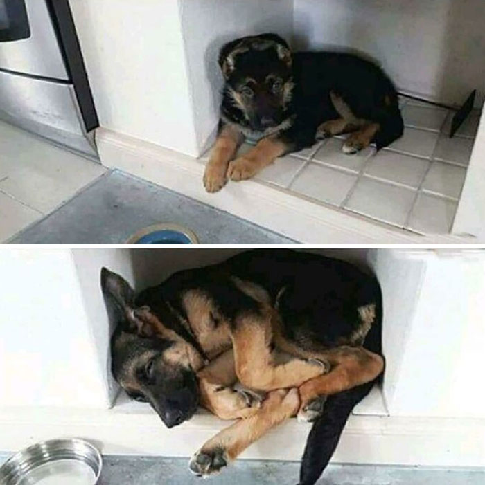 Ya no cabe en su sitio favorito