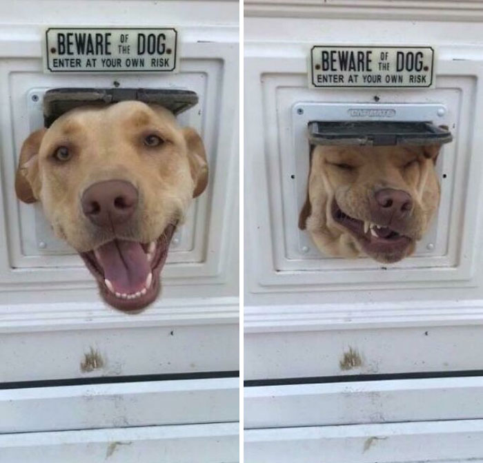 What Goes In Doesn’t Always Come Out