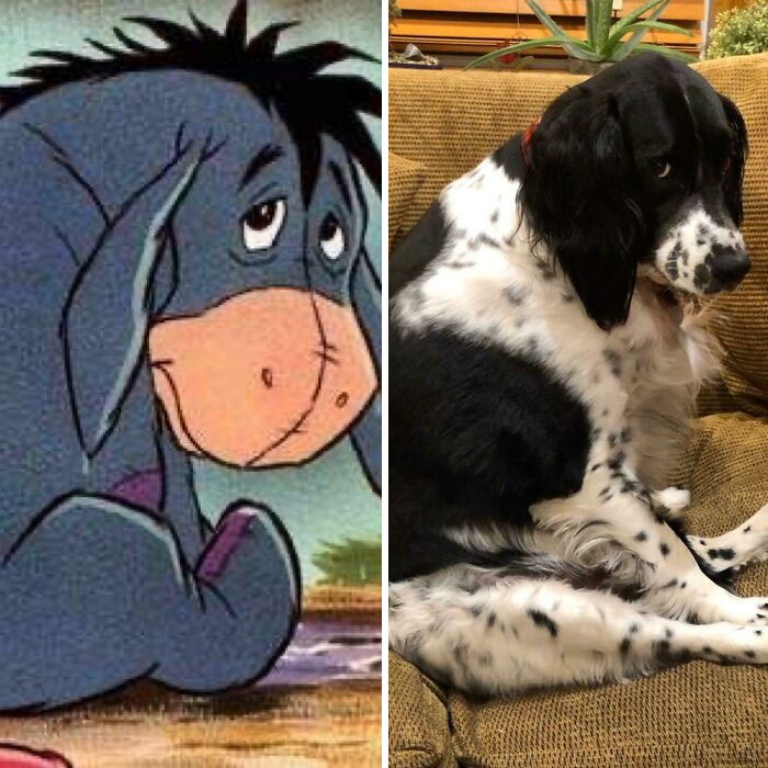 Hace pucheros como Ígor