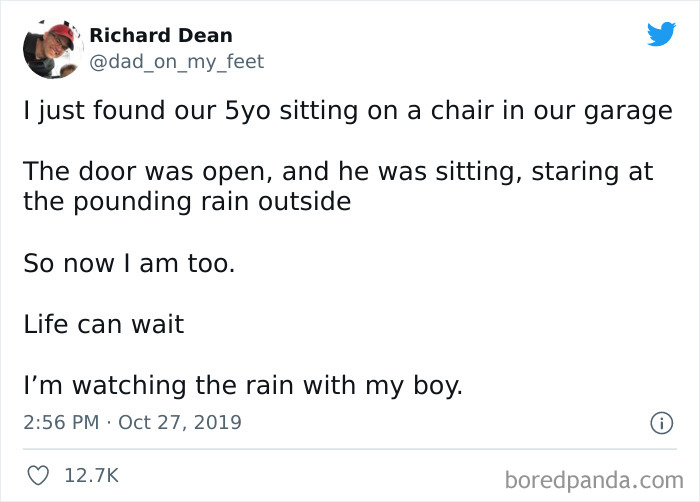 Wholesome-Meet-The-Internet