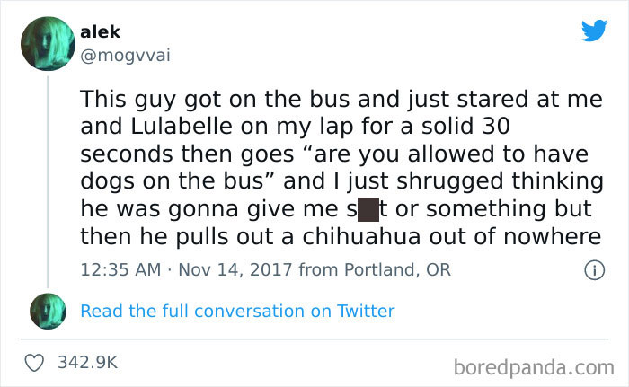 Wholesome-Meet-The-Internet