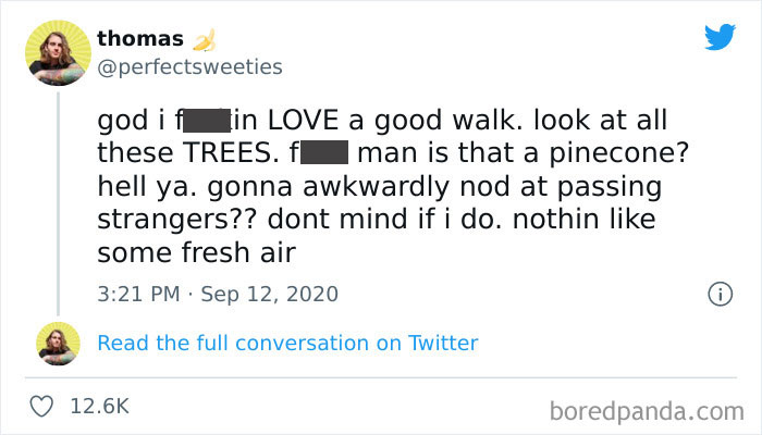 Wholesome-Meet-The-Internet