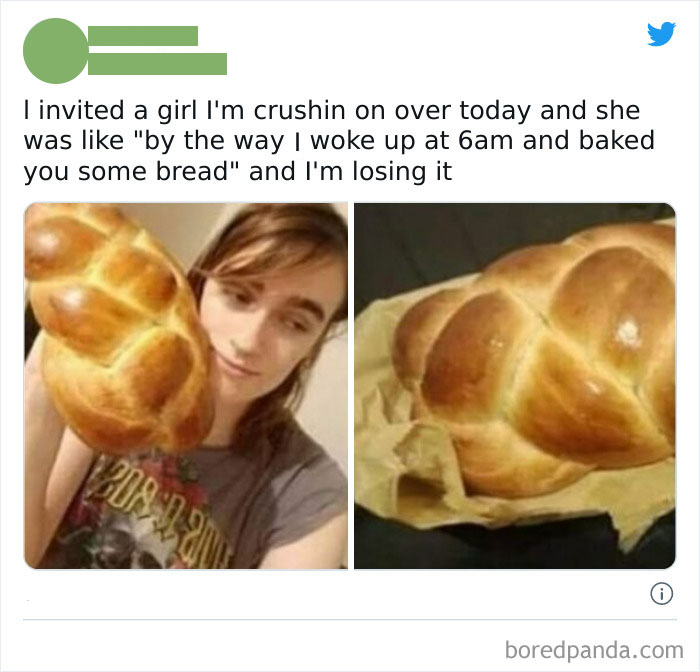 Wholesome-Meet-The-Internet