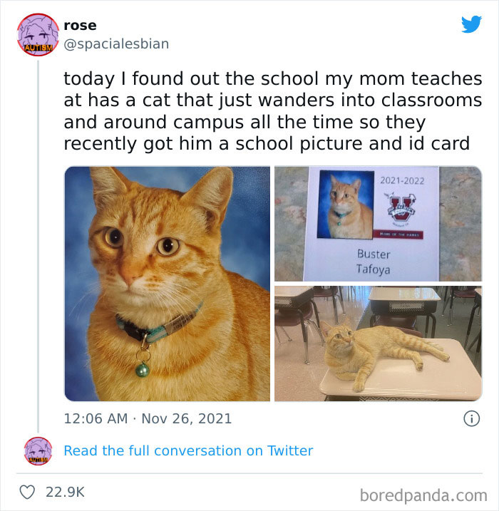 Wholesome-Meet-The-Internet