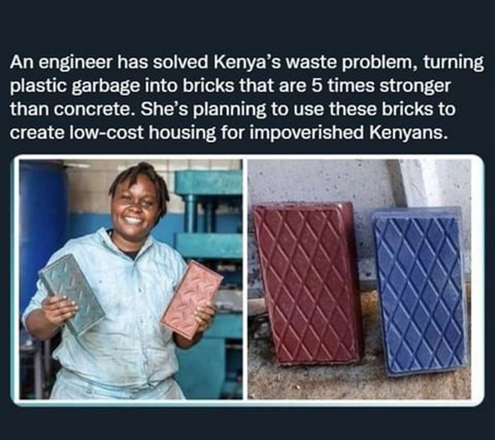 Wholesome-Meet-The-Internet