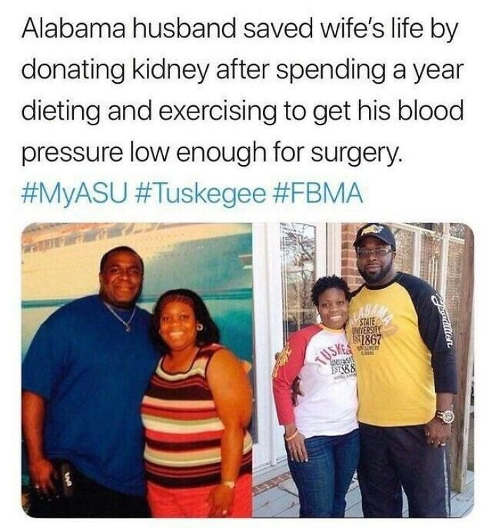 Wholesome-Meet-The-Internet