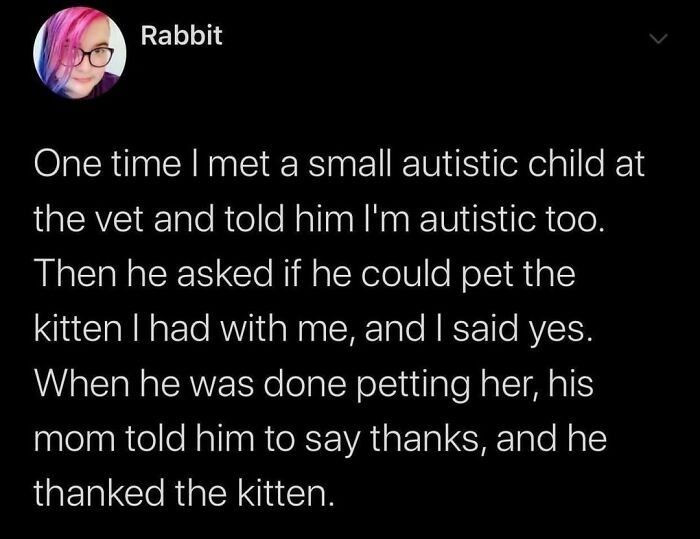 Wholesome-Meet-The-Internet