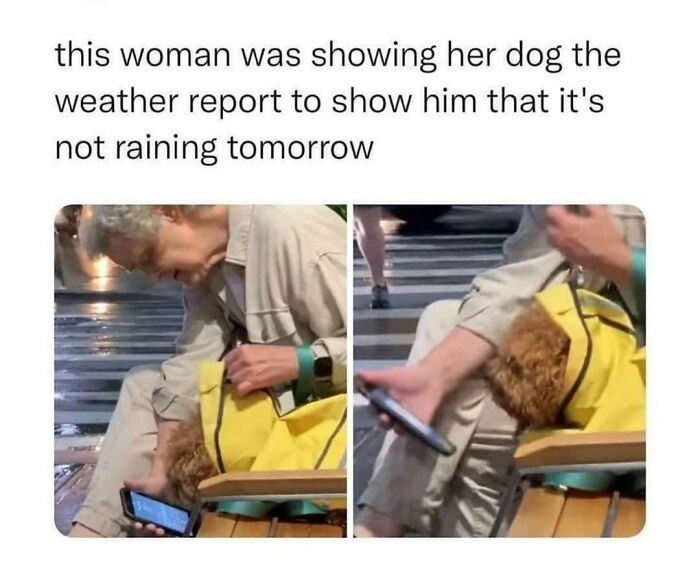 Wholesome-Meet-The-Internet