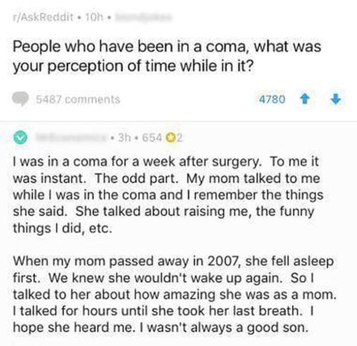 Wholesome-Meet-The-Internet