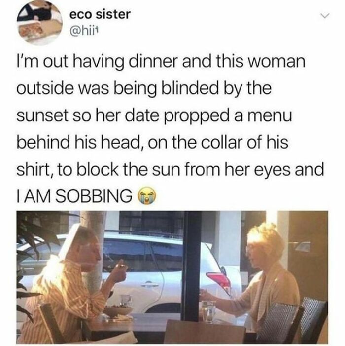 Wholesome-Meet-The-Internet