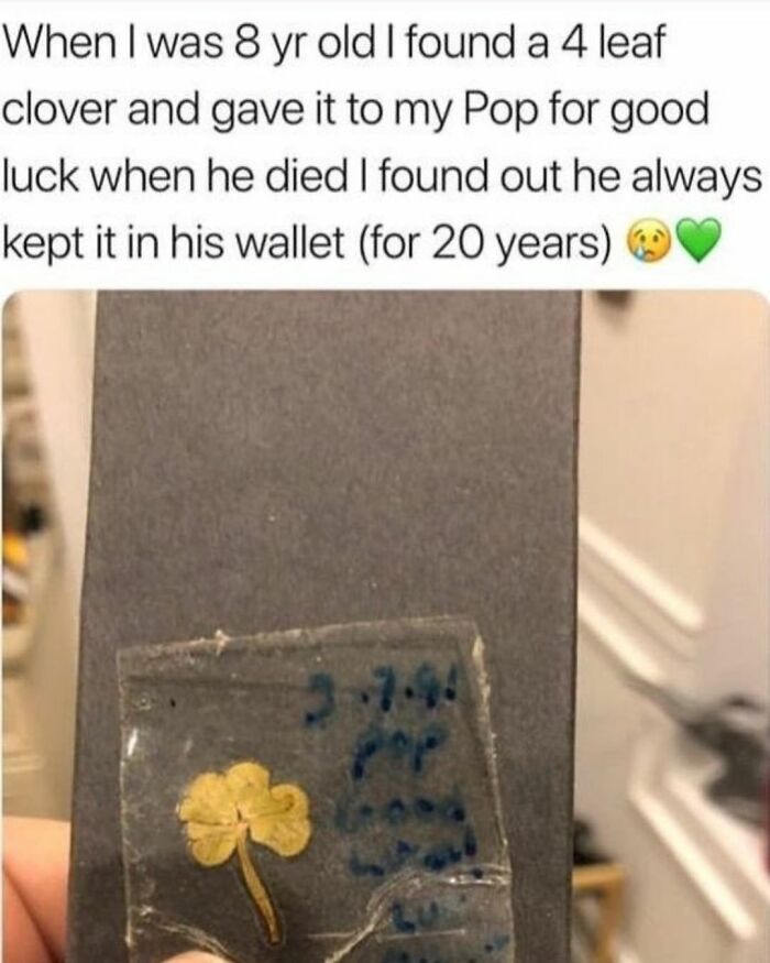 Wholesome-Meet-The-Internet