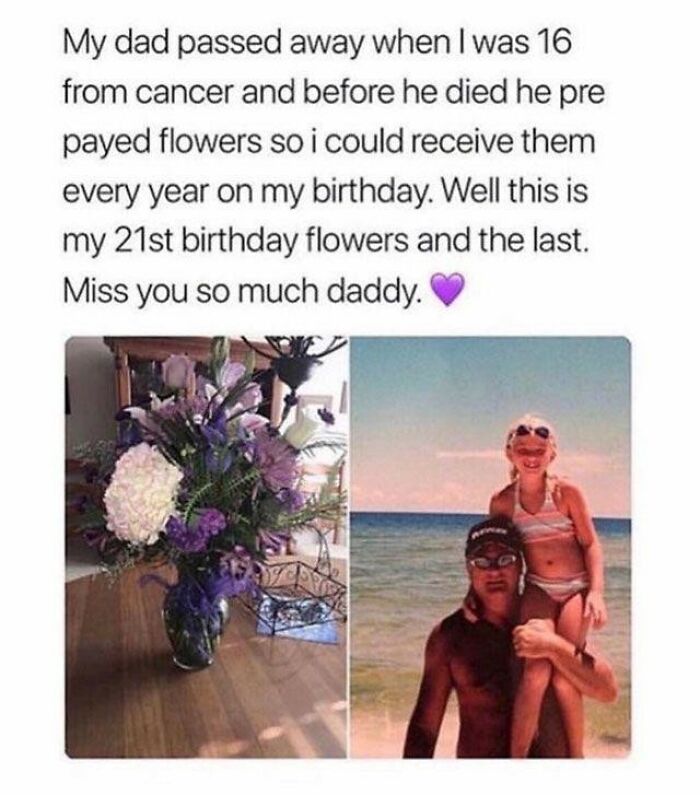 Wholesome-Meet-The-Internet