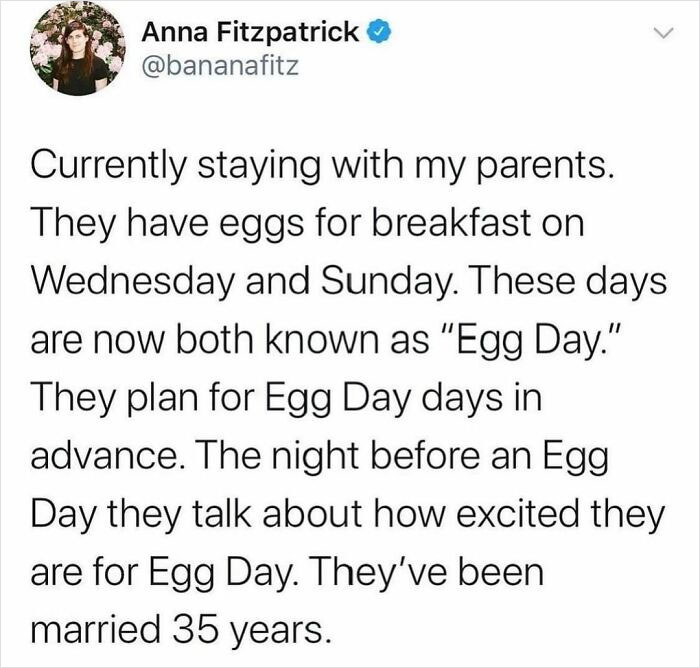 Wholesome-Meet-The-Internet