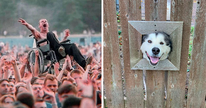 50 Of The Most Wholesome Posts From This Instagram Account To Fill You With Joy