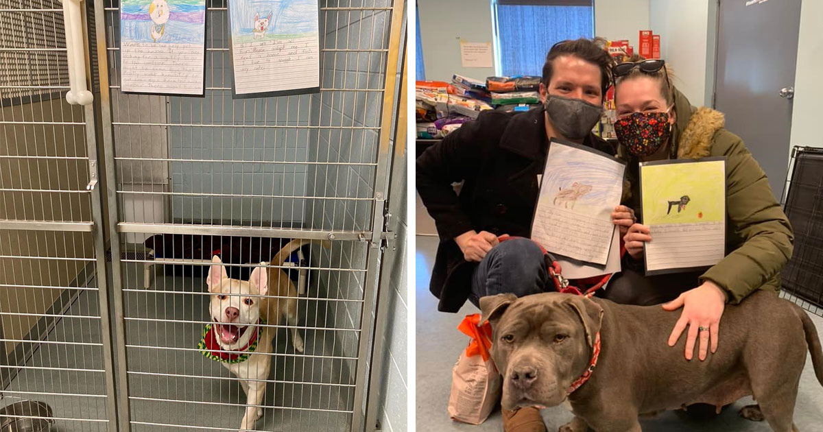 Second Graders Wrote Adorable Letters On Behalf Of Shelter Animals To Get Them Adopted, And It Worked