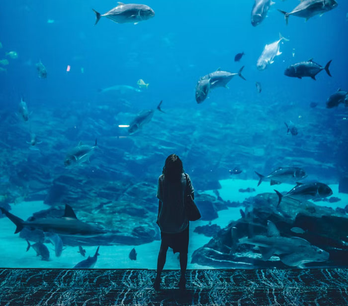 40 People Who Won Lifetime Supplies Of Something Share How Things Are Working Out For Them