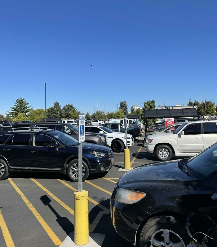 Para su cumpleaños, le compré a mi hijo un globo de dinosaurio en el supermercado. Aquí está