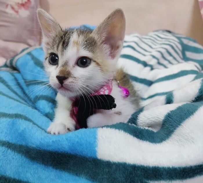 My Mischievous Baby Ginni.