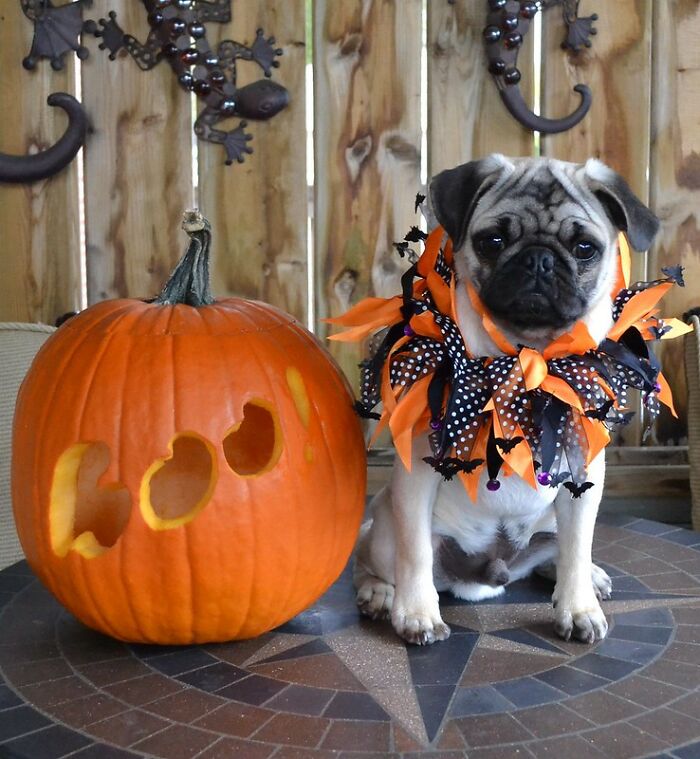 Me prohibieron jugar a las brujas