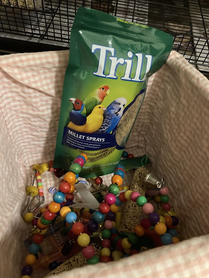 Full Of Extra Toys And Treats For Tricks