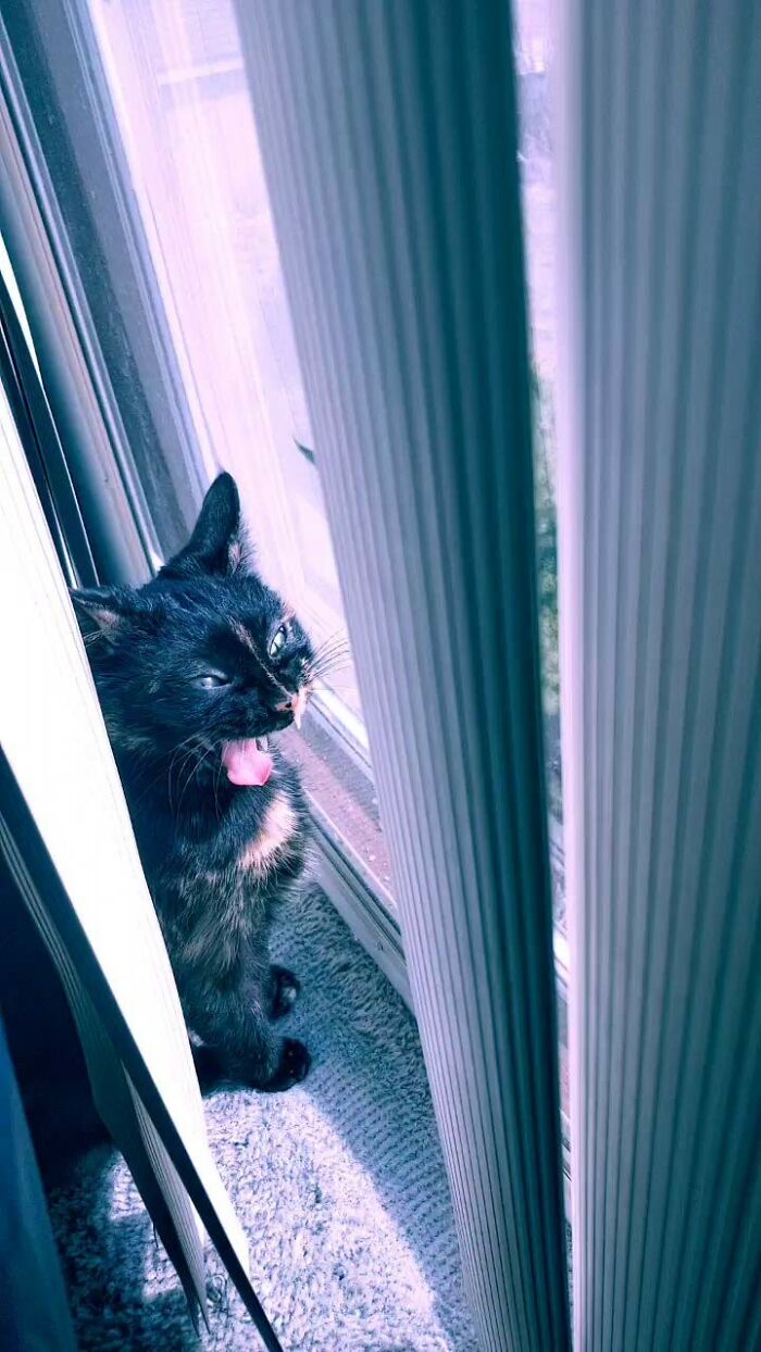 I Don't Know What She Saw, But It Was Shocking!