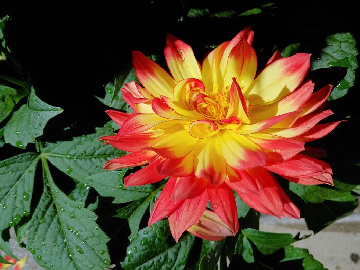 A New Favorite This Year