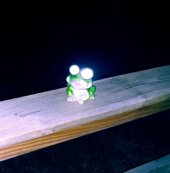 I Bought This Solar Light Knowing It Creeps Out My Spouse. I Have Been Hiding It In Different Places Outside And Facing Into Our Windows