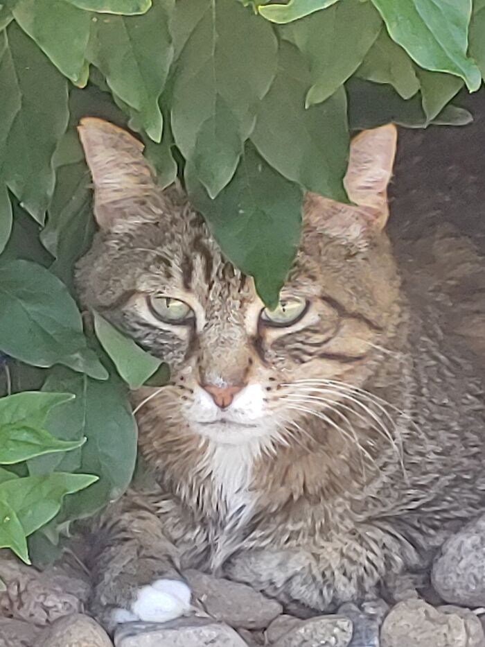 Looking Fabulous In The Foliage