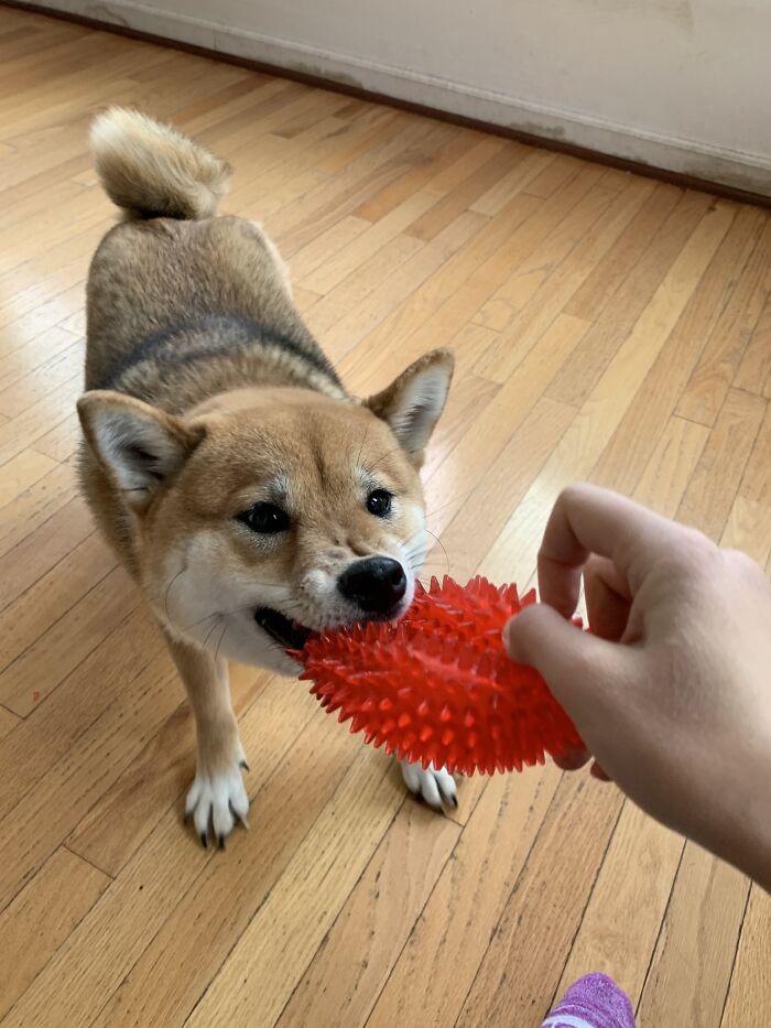 Never Said You Couldn't Post A Picture Of Your Pet