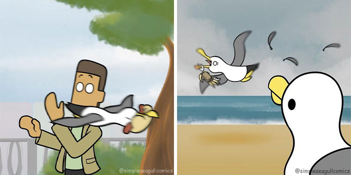 &ldquo;Oh, He Likes Those&rdquo;: Tesco&rsquo;s Staff Have Given Up Trying To Stop Steven The Seagull From Stealing Any More Crisps