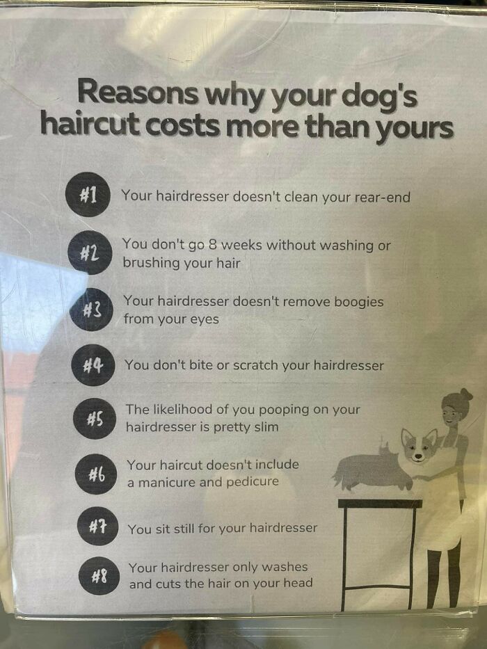 The-Absurd-Sign-Projects