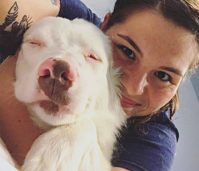 Grandpa’s Worries About Dog Not Recognizing Him After A Year Apart Disappear As Excited Dog Rushes To Him Grandpa’s Worries About Dog Not Recognizing Him After A Year Apart Disappear As Excited Dog Rushes To Him