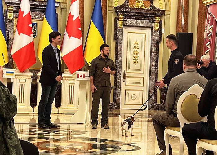 Hero Pup Patron Awarded Medal By Ukrainian President Zelensky For Sniffing Out Over 250 Bombs And Munitions Hero Pup Patron Awarded Medal By Ukrainian President Zelensky For Sniffing Out Over 250 Bombs And Munitions