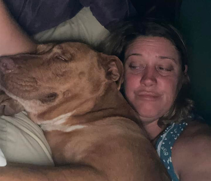 Married Couple Wake Up To Find A Mystery Dog Sleeping In Their Bed Married Couple Wake Up To Find A Mystery Dog Sleeping In Their Bed