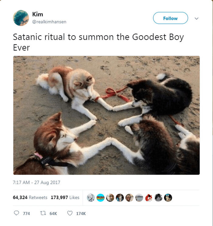 Funny-Cat-Dog-Tweets